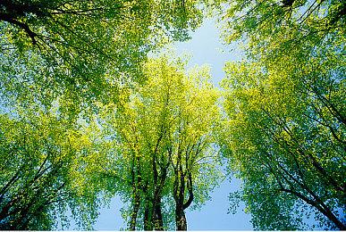 《沉眠墓地》Steam上线 守墓人日常工作模拟